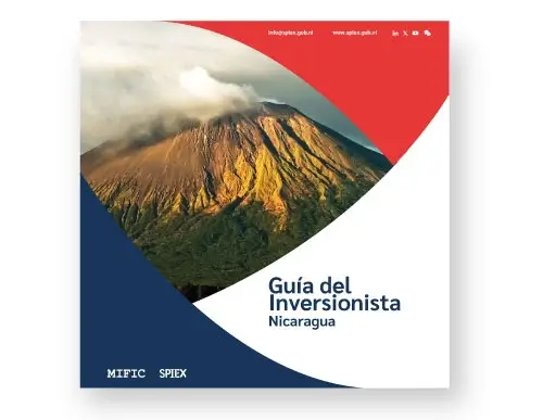 Guia del inversionsita