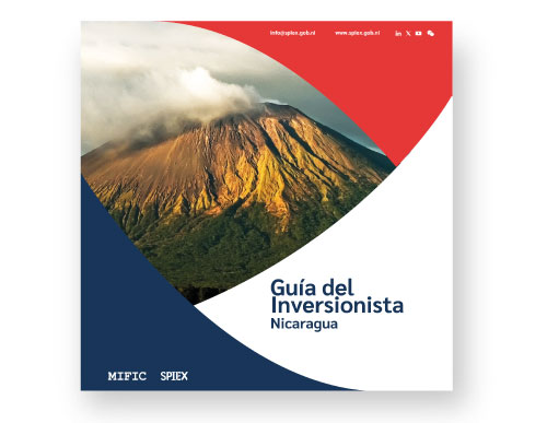Guia del inversionsita